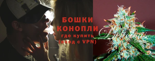 МДПВ Богородск