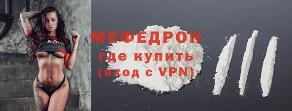 МДПВ Богородск