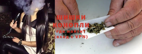 МДПВ Богородск