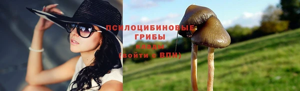 соль курить ск Богородицк