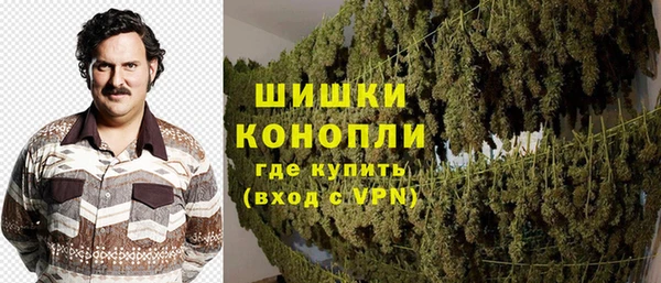 МДПВ Богородск