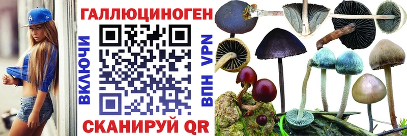 blacksprut ссылка  что такое наркотик  Северо-Курильск  Галлюциногенные грибы Cubensis 